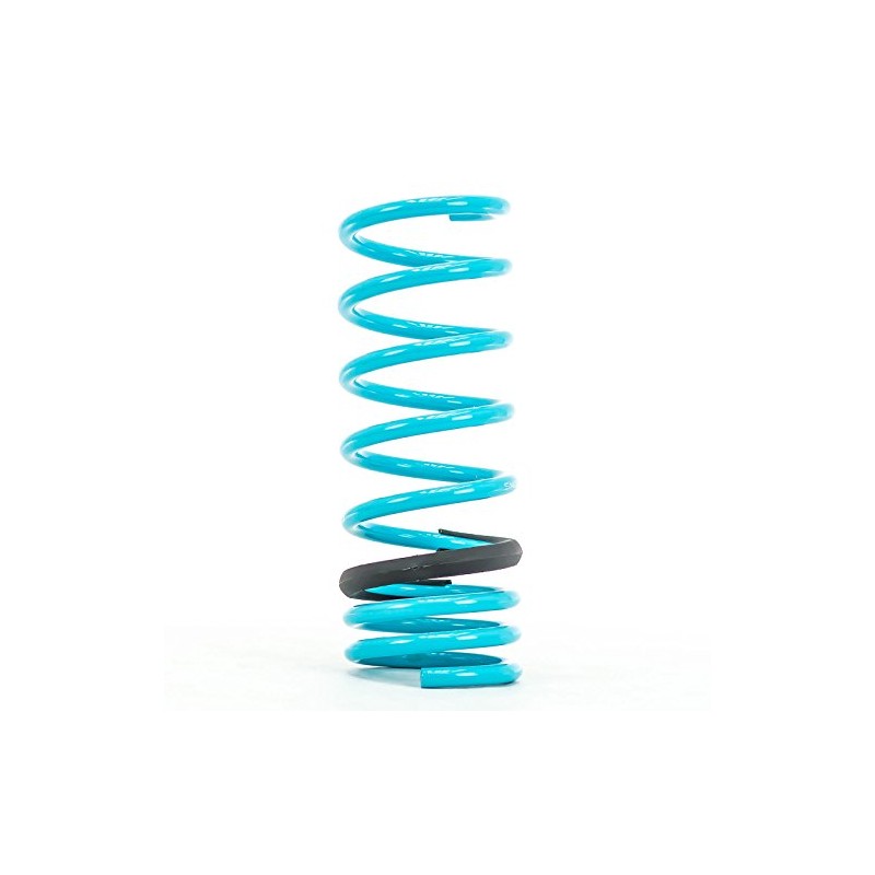Godspeed LS-TS-FD-0005 Traction-S Performance Lowering Springs For Ford Focus ST