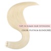 SURNEL Haarverlängerung, Echthaar, selbstklebend, #60, Platin-Verlängerung, Echthaar, 2,5 g/Stück, 20