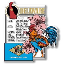 Delaware Six-Piece State Magnet Set by Classic Magnets, Includes 6 Unique Designs, Collectible Souvenirs and Gifts Made in The USA