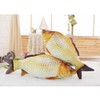TOYANDONA Bed Pillows Decorative Fish Plush Toy, 3D Fish Cushion