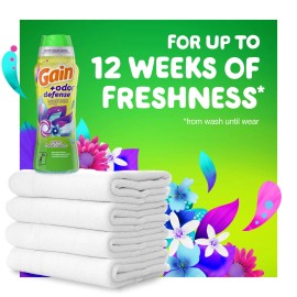 Gain Odor Defense In Wash Scent Booster 18.2 Ounce Lasting Freshness 12 Weeks