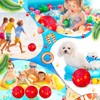 Hollowfly 12 Pack Red Dog Paw Themed Beach Ball for
