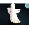 Foot Mannequin Torso Female Real Foot Model, Life-size Size (Set