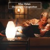 Himalayan Glow White Salt Crystal Lamp, Natural Salt Night Light,