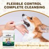 UrbanX Teeth Cleaning Wipes for Jack Chi and Other Mixed