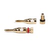Teufel Banana Plugs C8502P Pair for Speakers – Gold, Black/Red