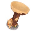Cat Bird Bath Statue Durable Resin Bird Bath Bowl Exquisite