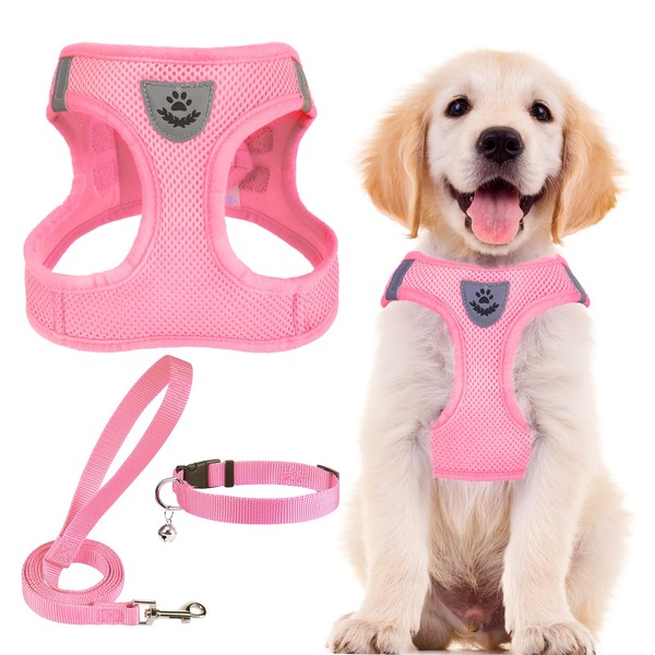 PUPTECK Adjustable Dog Harness Collar and Leash Set Step in
