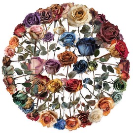 50PCS Dried Roses Stickers Aesthetic PET Transparent Stickers Vintage Gothic Flower Decals Waterproof Decorative Decals for Scrapbook DIY Crafts Album Bullet Journal Planner Water Bottles Phone Cases