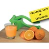 Fruit press juicer