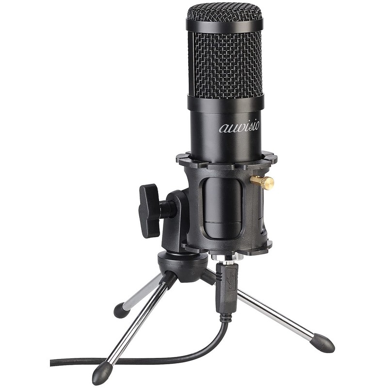 auvisio Microphone: Set of 2 Professional USB Condenser Microphones, High-Performance,