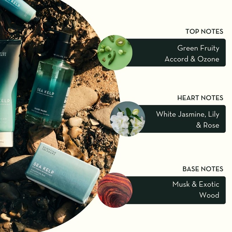 Scottish Fine Soaps Luxury Soap Sea Kelp 220g