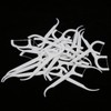20pcs Professional Floss Picks Disposable Tooth Cleaning Floss Picks for