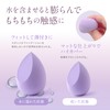 [Set of 3 Irregular Items] Makeup Sponge, Makeup Puff Multi-functional