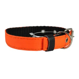 Double Thick Nylon Dog Collar Leather Enforced Metal Buckle Sized to Fit 11"-14" Neck, 1" Wide.