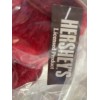 Hershey's Kiss Talking Teddy Bear "A Big Kiss For My
