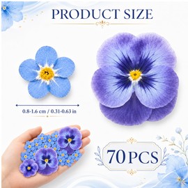 Pressed Flowers, 70 Piece Floral Pressed Flowers For Crafts Set With Assorted Sizes, Vibrant Pansies And Blue Blooms For Crafting, Dried Flower Collection For Scrapbooking And Card Making