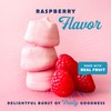 GoodMallow Vegan Marshmallows - Large Kosher Gluten Free Dairy Free
