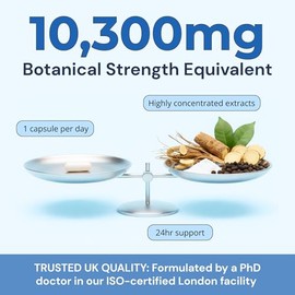 Ashwagandha High Strength KSM-66, Valerian Root & L-Tryptophan Supplement with Magnesium, Zinc & Vitamin B6 – UK Made, 2 Month Supply, 60 Vegan Capsules