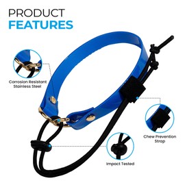 eCollar Replacement Strap Bungee Style - Dog Shock Collar Replacement Strap - Dog Collar for Shock Collar - Replacement Collar - sportdog Replacement Collar (Purple, 1" - Width)