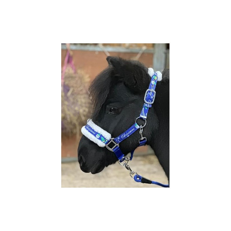 Christmas Print Blue Headcollar Lead Rope Set for Mini Shetland