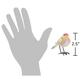 The Bridge Collection 2.5" Pastel Bird Figurines - Set of 2 - Bird Home Decor - Birds for Cottage, Spring, or Cabin Decor
