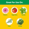 Miracle-Gro Miracle-Gro Water Soluble All Purpose Plant Food and Garden
