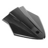 Carbon Fiber Style Motorcycle Passenger Seat Fairing with Mounting Accessory