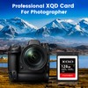 INDMEM XQD 128GB Memory Cards, 5X Tough MLC XQD Flash