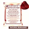 Ayu Hina Henna, Pack of 10 (Black 40g x 5