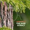 Organic Pine Bark Extract 7500mg – High Strength 237.5mg OPC