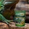 Alimento Premium Para Iguana | Con Fruta Calcio Vitaminas
