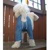 Mozzie Pants Original Dog Pants, E-Collar Alternative, Dog Pajamas, Dog