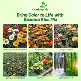 Outsidepride Kiss Mix Gazania Seeds for Planting – 25 Pcs Perennial, Low-Maintenance, Drought-Tolerant Ground Cover Seeds for Vibrant Summer & Fall Flowers, Great for Outdoor Gardens