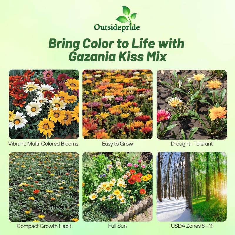 Outsidepride Kiss Mix Gazania Seeds for Planting – 25 Pcs