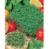 Mr Fothergill's 18292 Vegetable Seeds, CRESS Fine Curled