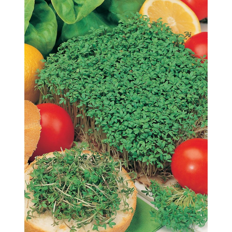 Mr Fothergill's 18292 Vegetable Seeds, CRESS Fine Curled