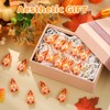DoubleFill 50 Pcs Thanksgiving Pumpkin Mini Gnomes Figurines Fall Miniatures