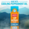 O'Keeffe's Lip Repair Lip Balm With Cooling Relief for Dry,