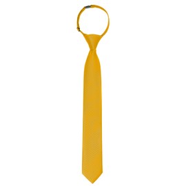 Puistr Boys Golden Yellow Tie Pre-tied Adjustable Kids Solid Color Necktie for Age 8-12 Years Wedding School Graduation with Gift Box