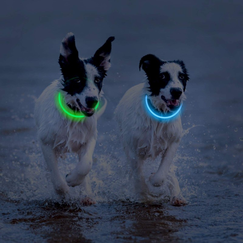 Novkin 2-Pack LED Dog Collar, Light Up Dog Collars,Rechargeable Dog
