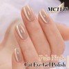Double Rhythm 15ML Glass Cat Eye Gel Polish with Magnet