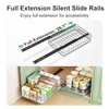 Pull out Cabinet Organizer, Stainless Steel 2-Pack Slide out Drawer