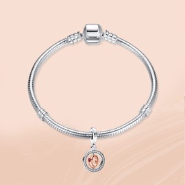 Annmors Jewellery Family Love Charms & Hearts Pendant S925 Sterling Silver Bracelet Bead with Cubic Zirconia for European Bracelets Necklace, Mother's Day Jewellery Gift Christmas for Men and Women,