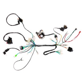 Unbranded 50cc 110cc 125cc CDI Wire Harness Stator Assembly Wiring for ATV Quad Coolster