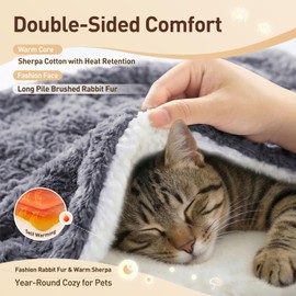 NODARKO Cat Blanket for Indoor Cats - Ultra Thick 460GSM Faux Rabbit Fur & 260GSM Sherpa, Small Pet Throw for Carrier, Crate & Couch Protection, Soft Thermal Kitten Bedding, 21"x18" Grey