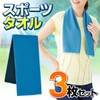 ライズジャパン 冷感タオル 3枚セット スポーツタオル 85×28cm 濡らして使う 汗拭き 無地 ひんやり HOUタオル3枚