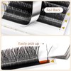 YY Eyelashes, YY Lashes, Y Eyelash Extension, Y Eyelash Extension,