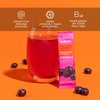 Hydrant - Immunity Electrolyte Powder, Elderberry Flavor, 30 Instant Rehydration