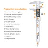 Neoteck Digital Vernier Caliper 100mm/4 Inch Stainless Steel Electronic Caliper